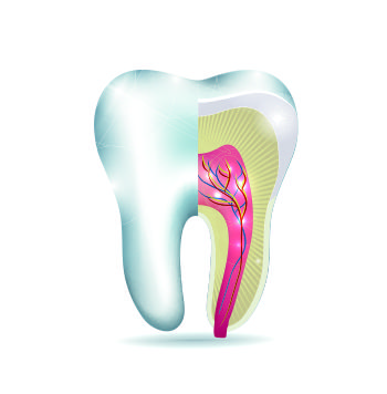Dental Health